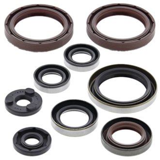 Engine Oil Seal Kit