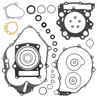 Complete Gasket Kit Withoil Seals