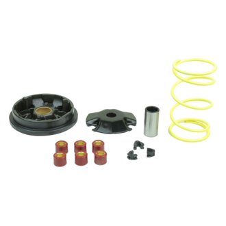 95-96 Gilera Moving 50 Complete Speedmatic Variator Kit