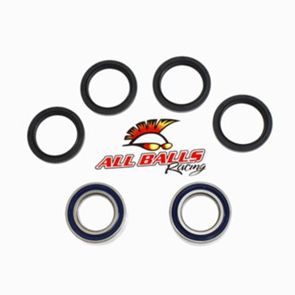 Wheel Bearing Kit Rear
