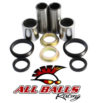 Swing Arm Bearing Kit