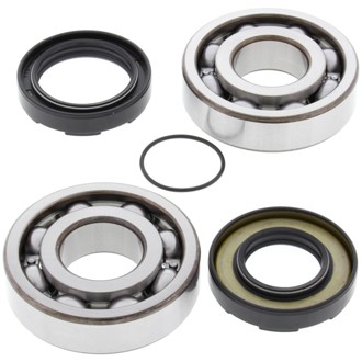 Racing 75-78 Yamaha DT400 Crank Shaft Bearing Kit