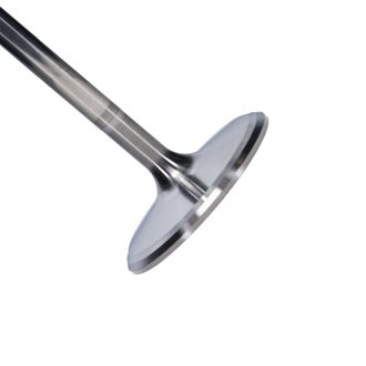 Titanium Series Chevrolet LS7 intake Valve Kit