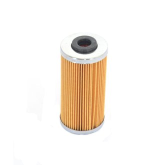 09-10 BMW G 450 X 450 Oil Filter