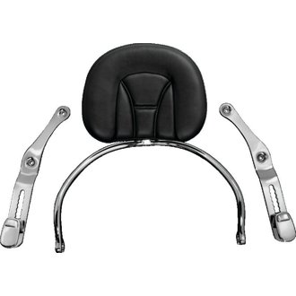 Revolution Driver Backrest