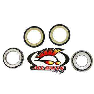 Steering Stem Bearing Kit