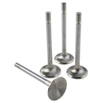 Porsche 914 2.0L 42mm Head Diameter Triple Groove Race Master Intake Valves (Set of 4