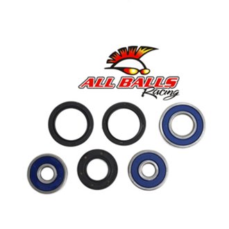 Wheel Bearing Kit Rear