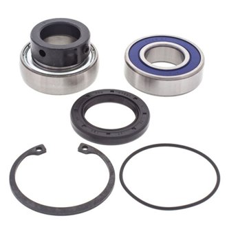 Snowmobile Chain Case Bearing & Seal Kit