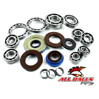 Differential Bearing And Seal Kit