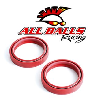 Fork Seal Kit