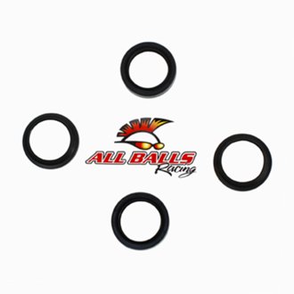 All Balls Fork & Dust Seal Kit