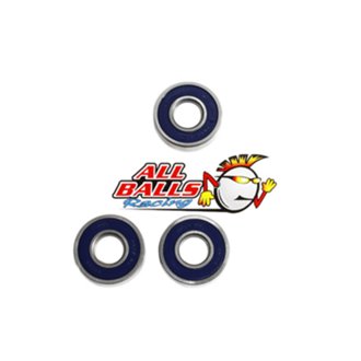 Wheel Bearing Kit Rear