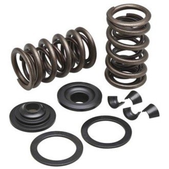 Kpmi Racing Spring Kit Steel 0.560" Lift