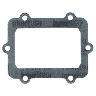 Reed Gasket - Polaris
