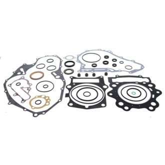 Complete Gasket Kit Withoil Seals