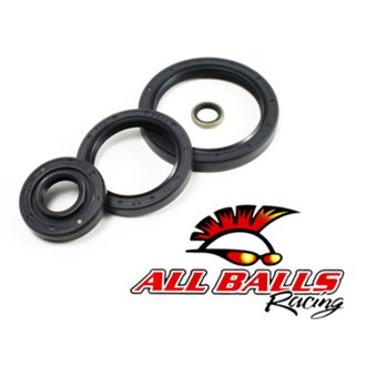 Differential Seal Kit