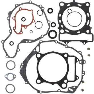 Complete Gasket Kit Withoil Seals