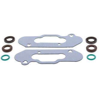 Exhaust Valve Gasket Kit