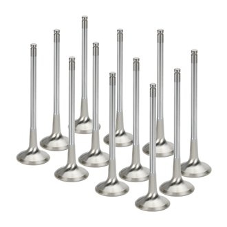 BMW N54 Turbo 3.0L Inconel Exhaust Valve- Set of 12