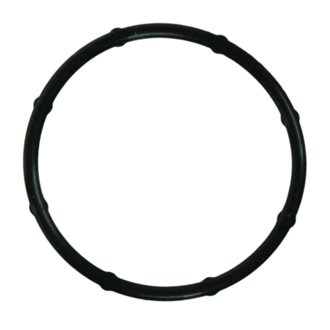 Engine Water Pump Gasket