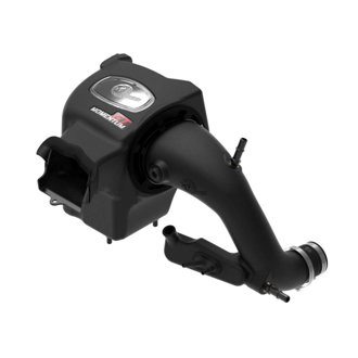 Momentum Gt Cold Air Intake System W/ Pro Dry S Filter
