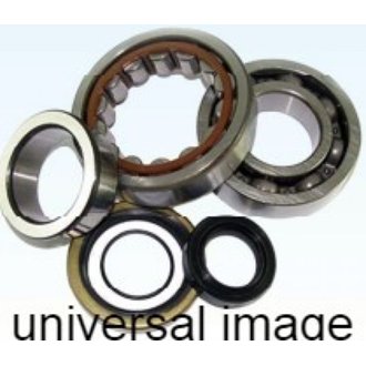Crankshaft Bearing Kit
