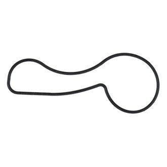 Engine Water Pump Seal
