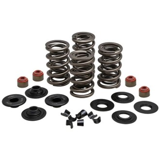 Kpmi Spring Kit, Lightweight Racing, 0.650" Lift, 7MM HD