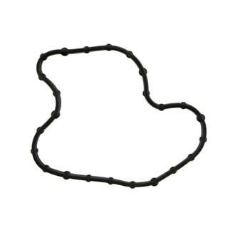 Engine Oil Filter Adapter Seal
