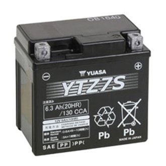 MAINTENANCE FREE 12 VOLT BATTERY