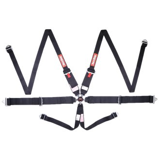 Camlock 6 Point HANS Harness Set