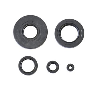 01-14 Honda TRX 500 FA Engine Oil Seal Kit