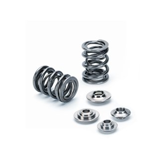 VW/Audi 2.0L FSI EA113 Single Valve Spring Kit