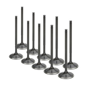 VW 2.0L 16V 32x6.95x95.5mm Dish Black Nitrided Intake Valve - Set of 10