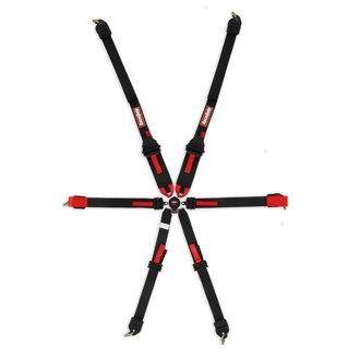 FIA 6 Point Camlock Harness Set
