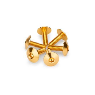 Screw Kit Anodized For Screens Gold