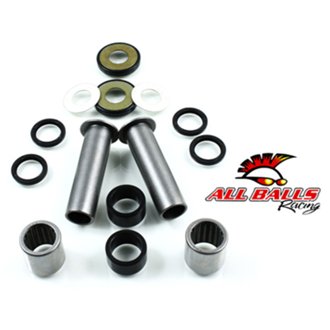Swing Arm Bearing Kit