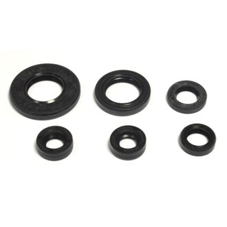 2008 Yamaha TT-R125 EX Oil Seal Kit