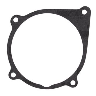 Recoil Starter Gasket
