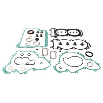 Complete Gasket Kit Withoil Seals