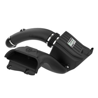 Quantum Cold Air Intake System W/ Pro Dry S Filter