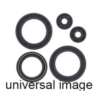 Oil Seal