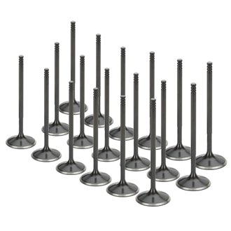 Audi/VW 1.8T 5V Black Nitrided Intake Valve - Set of 18
