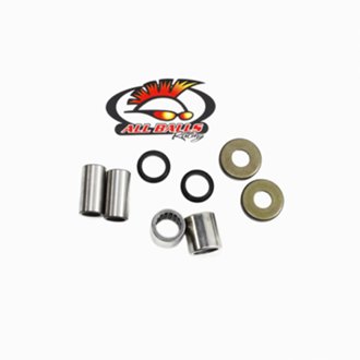 Swing Arm Bearing Kit