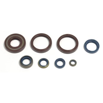99-04 Husqvarna WR/CR 250 Engine Oil Seal Kit