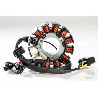 Ricks Motorsport Oem Style Polaris Stator Snow