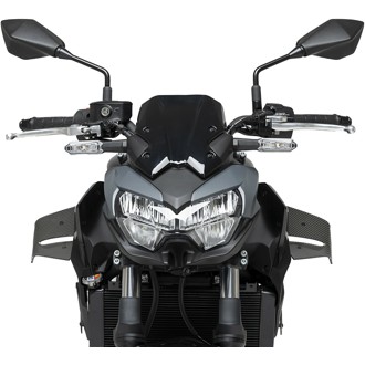 Spoilers D12 Carbon look
