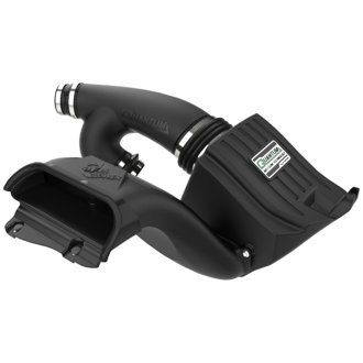 Quantum Cold Air Intake System W/ Pro Dry S Filter
