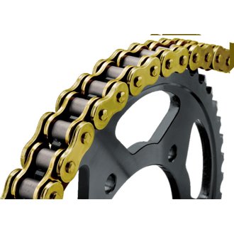 520Hx110 Chain - Gold/Gold